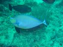 DSC00370.JPG