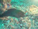 DSC00372.JPG