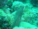Dateiname=DSC00424.JPG
Dateigröße=525KB
Abmessungen: 1024x768
hinzugefügt am: 05. August 2014 DSC00424.JPG