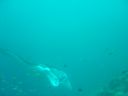 Dateiname=DSC00432.JPG
Dateigröße=233KB
Abmessungen: 1024x768
hinzugefügt am: 05. August 2014 DSC00432.JPG