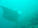 Dateiname=DSC00440.JPG
Dateigröße=325KB
Abmessungen: 1024x768
hinzugefügt am: 05. August 2014 DSC00440.JPG