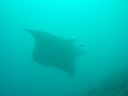 Dateiname=DSC00468.JPG
Dateigröße=214KB
Abmessungen: 1024x768
hinzugefügt am: 05. August 2014 DSC00468.JPG