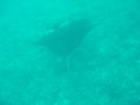 Dateiname=DSC00518.JPG
Dateigröße=247KB
Abmessungen: 1024x768
hinzugefügt am: 05. August 2014 DSC00518.JPG