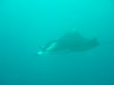 DSC00520.JPG