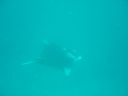 DSC00521.JPG
