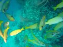 DSC00531.JPG