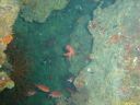 DSC00535.JPG