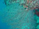 DSC00537.JPG