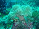DSC00540.JPG