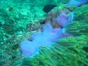 DSC00543.JPG