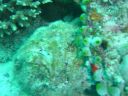 DSC00544.JPG