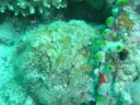 DSC00545.JPG