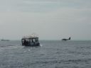 DSC00556.JPG