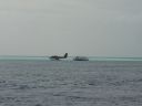 DSC00558.JPG
