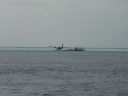DSC00561.JPG