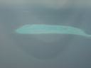 Dateiname=DSC00576.JPG
Dateigröße=239KB
Abmessungen: 1024x768
hinzugefügt am: 05. August 2014 DSC00576.JPG