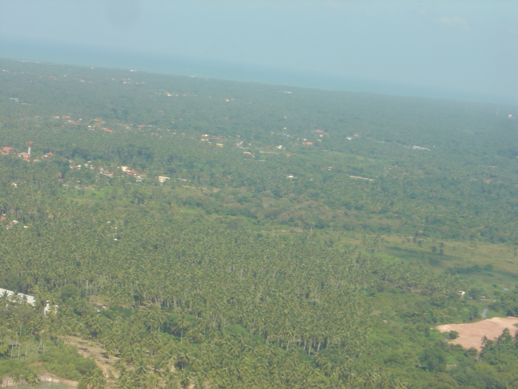 DSC00004.JPG
