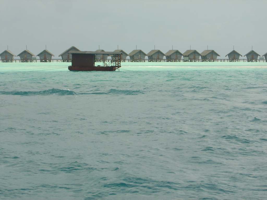 DSC00030.JPG