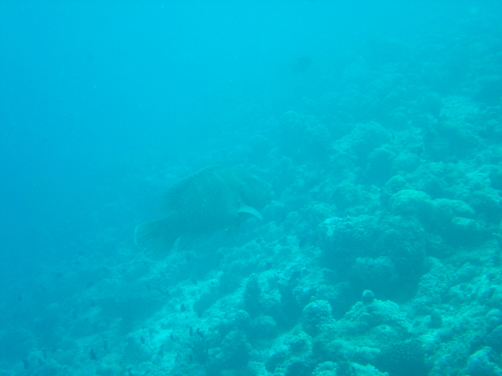 DSC00036.JPG