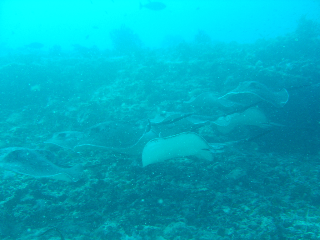 DSC00038.JPG