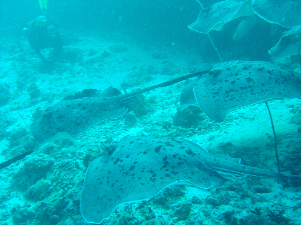 DSC00042.JPG