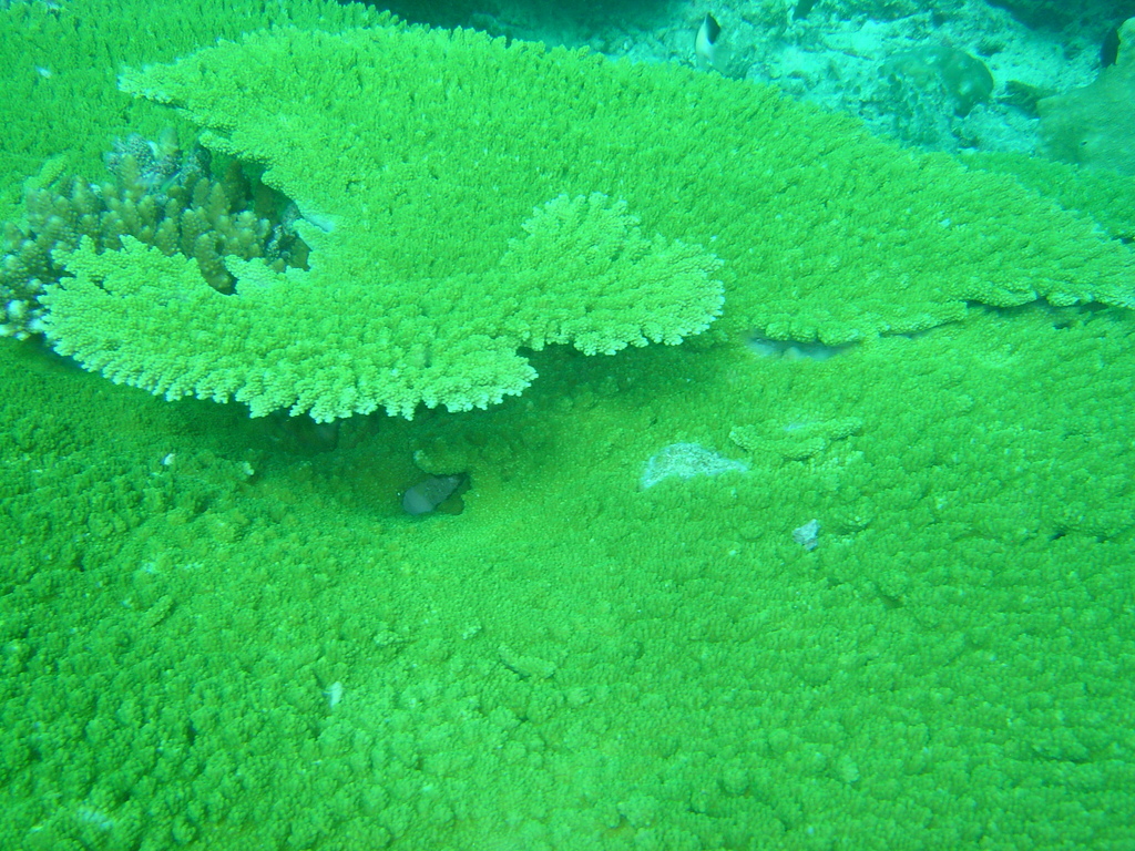 DSC00054.JPG