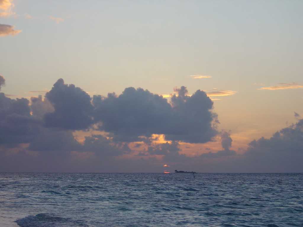 DSC00061.JPG