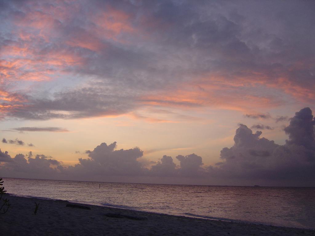 DSC00062-1.JPG