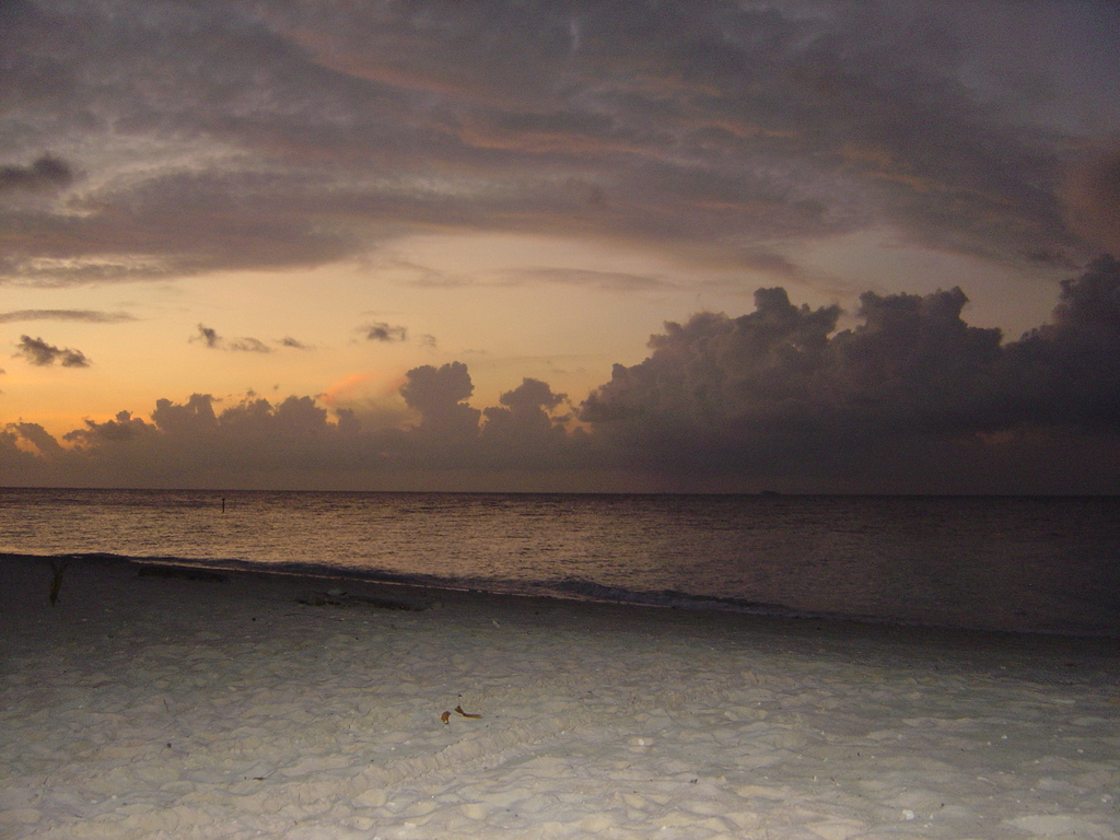 DSC00069.JPG