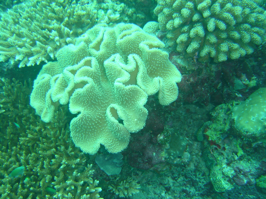 DSC00094.JPG