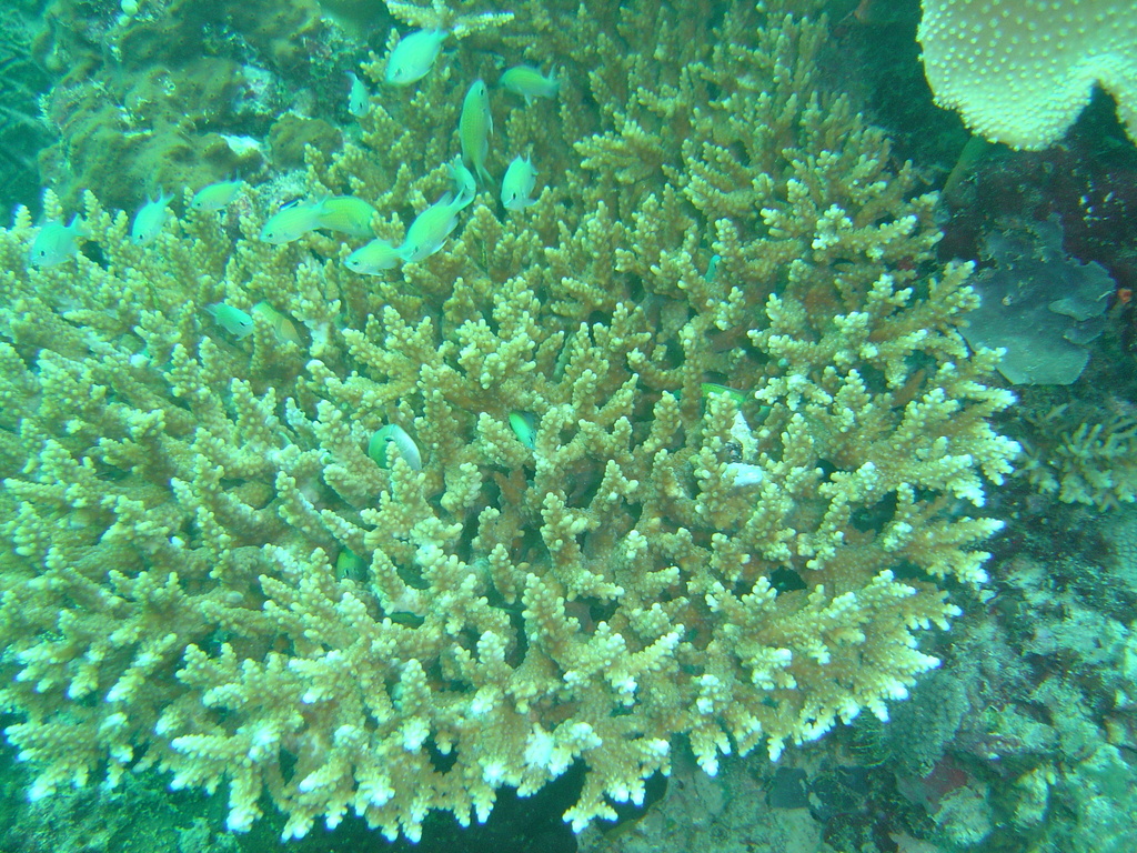 DSC00095.JPG
