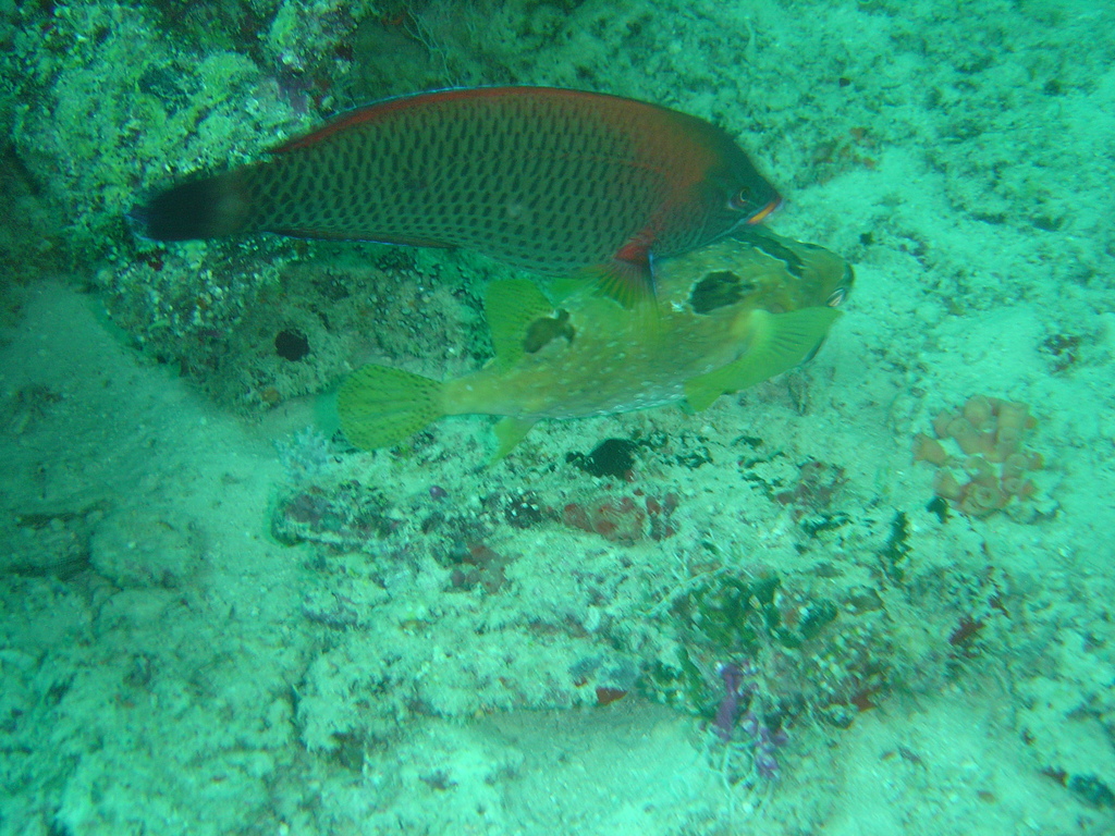 DSC00097.JPG