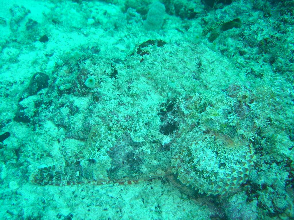 DSC00102.JPG