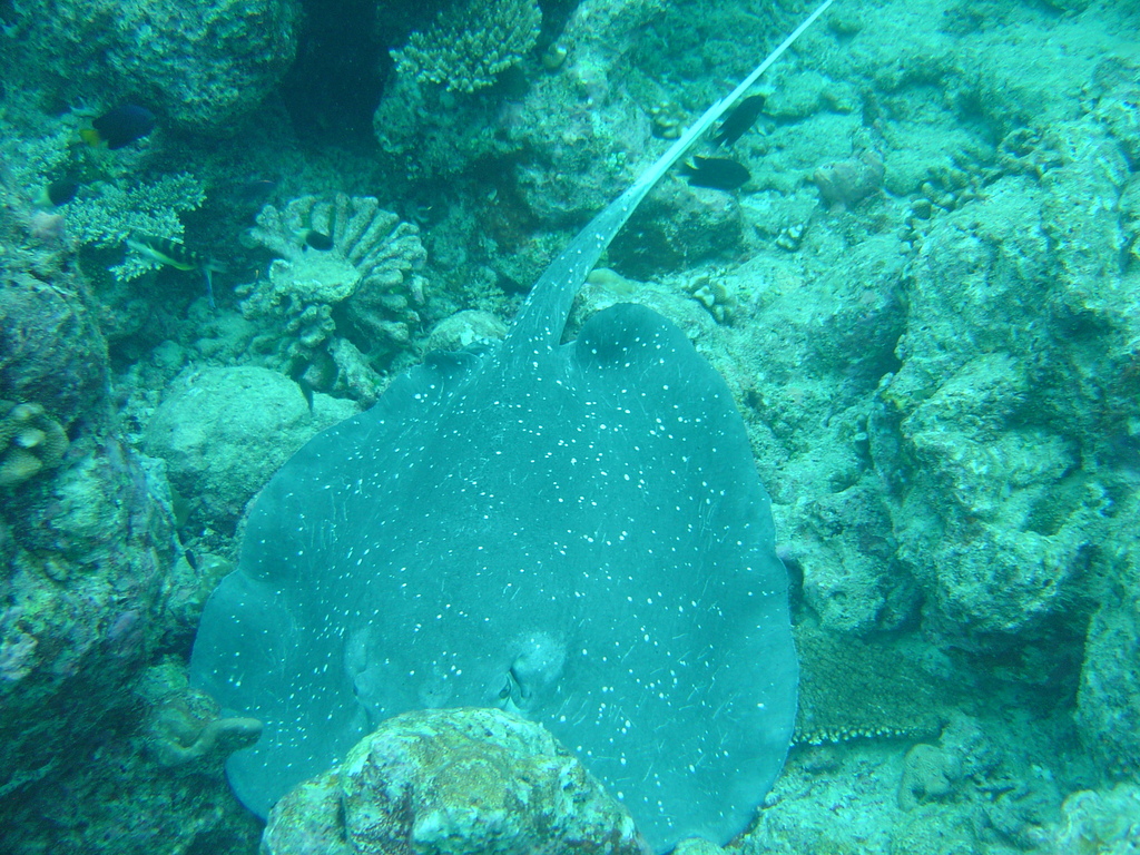 DSC00115.JPG
