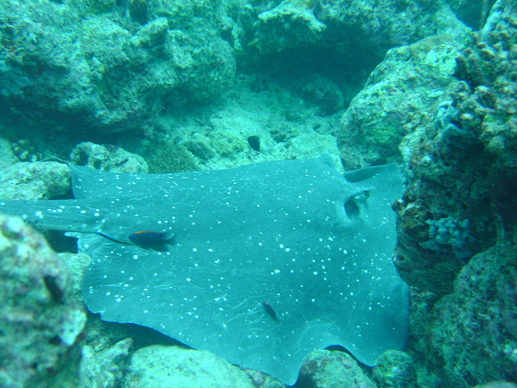 DSC00116.JPG