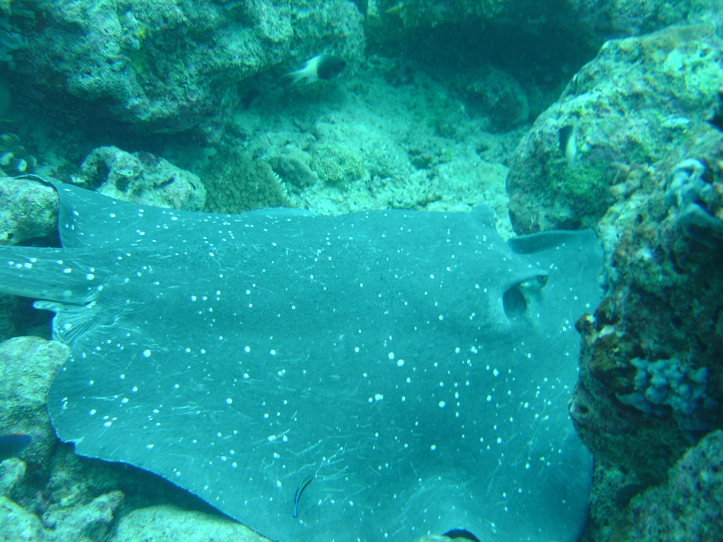 DSC00117.JPG