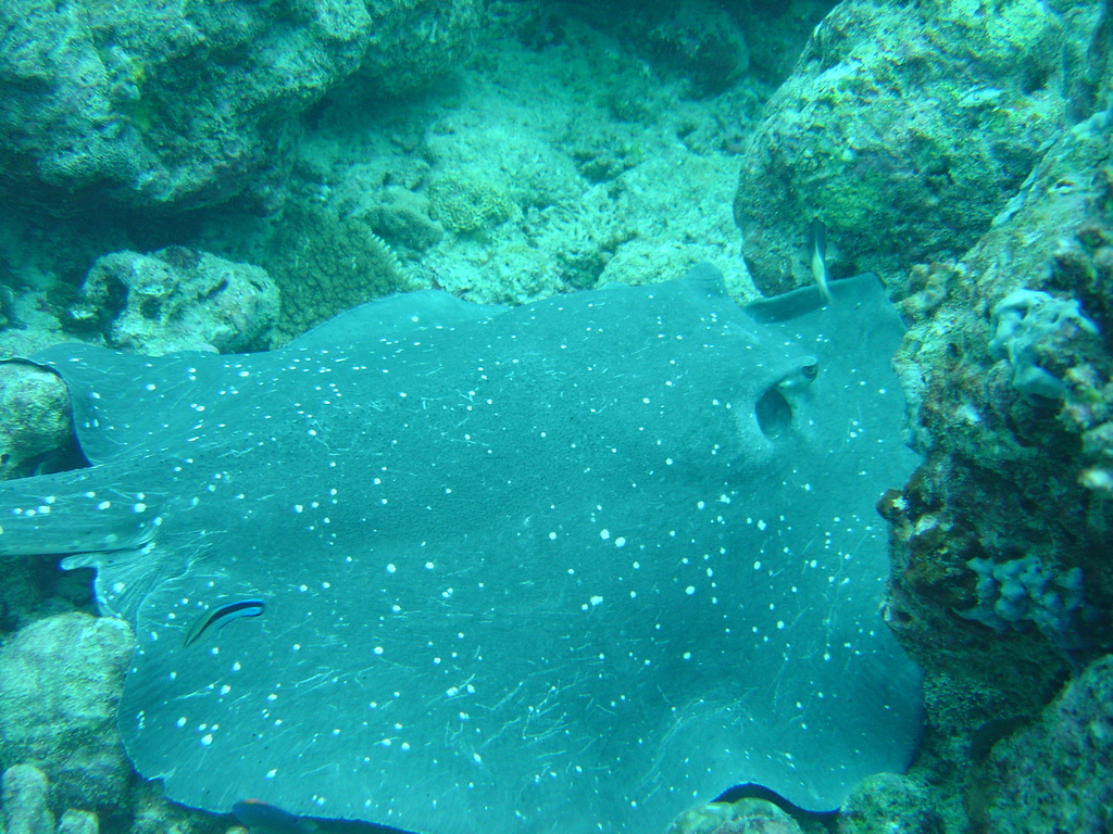 DSC00118.JPG