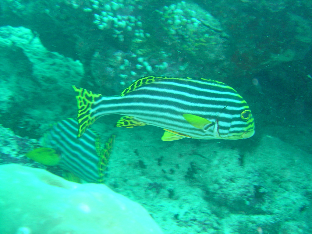 DSC00136.JPG