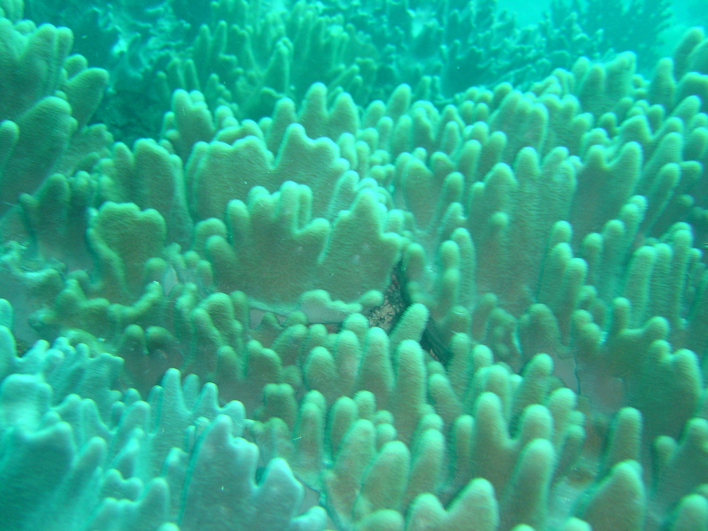 DSC00139.JPG