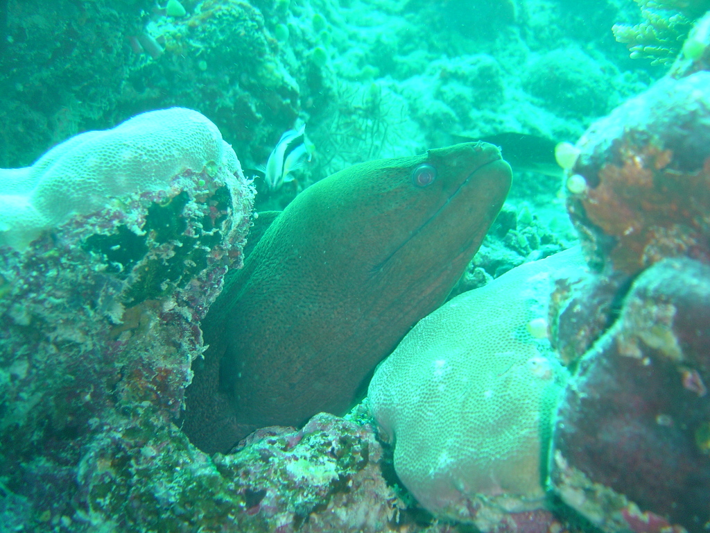 DSC00143.JPG