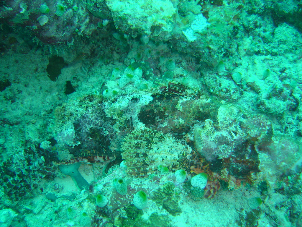 DSC00152.JPG