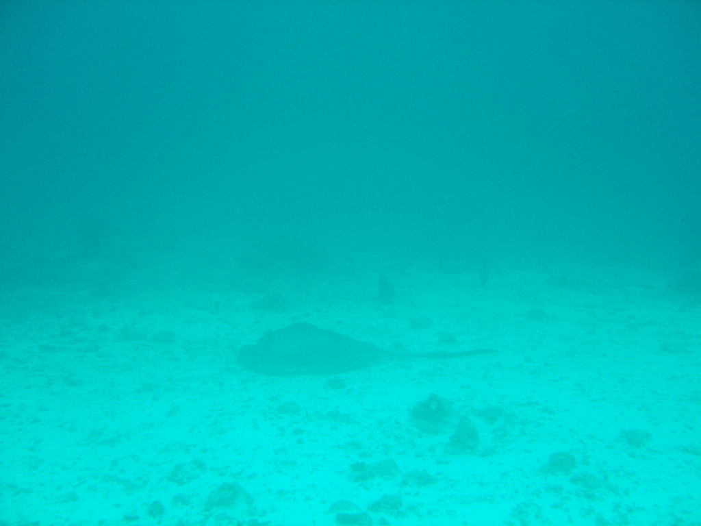 DSC00173.JPG
