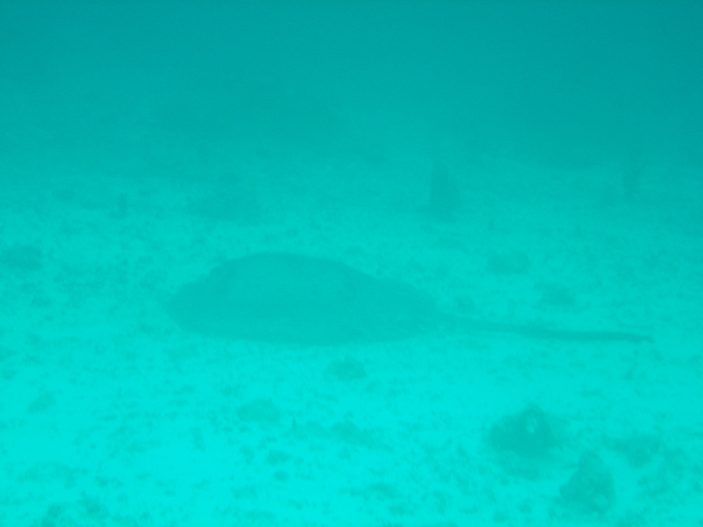 DSC00174.JPG
