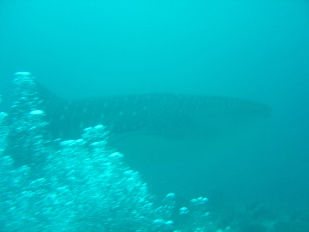 DSC00179.JPG