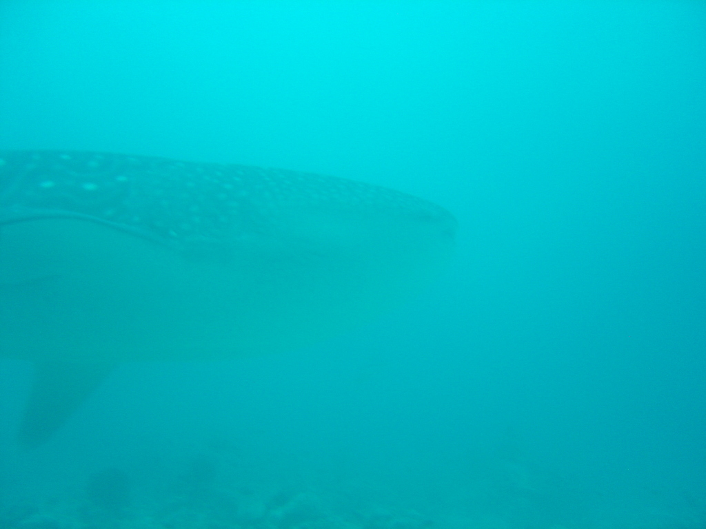 DSC00180.JPG