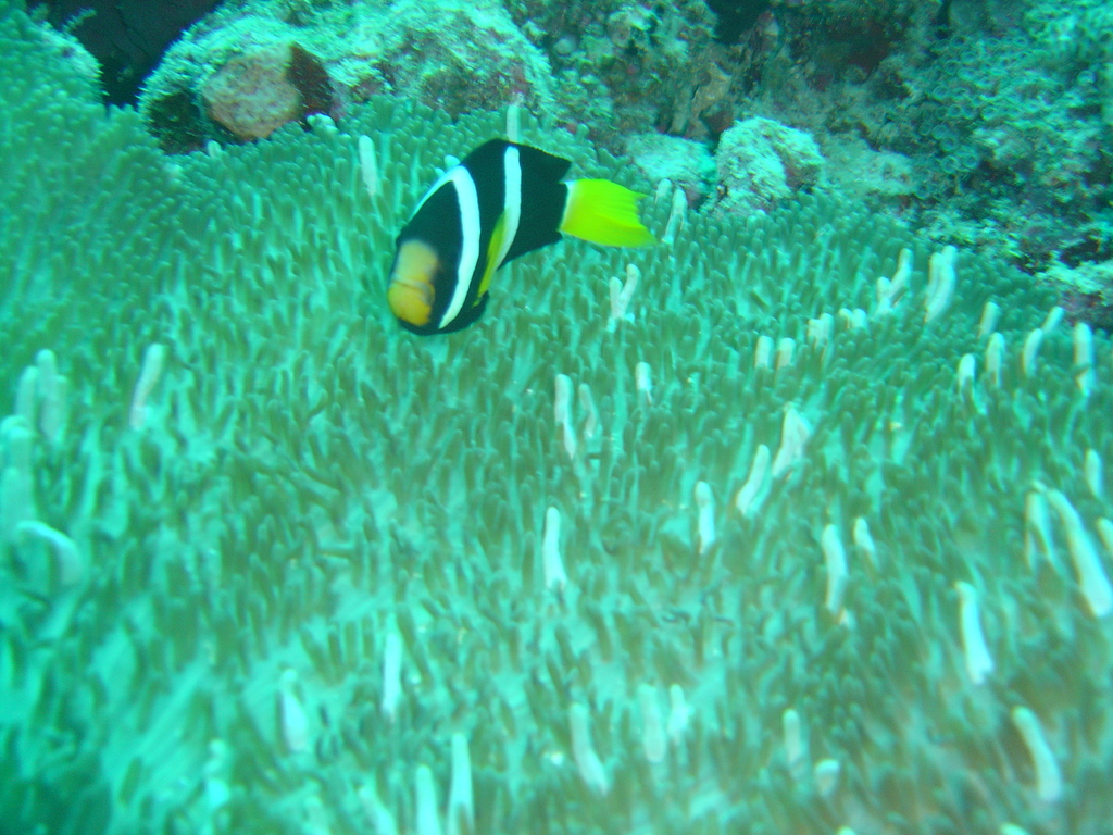 DSC00214.JPG