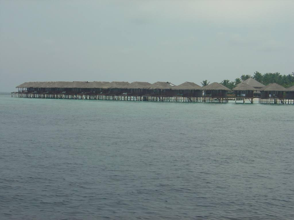 DSC00221.JPG