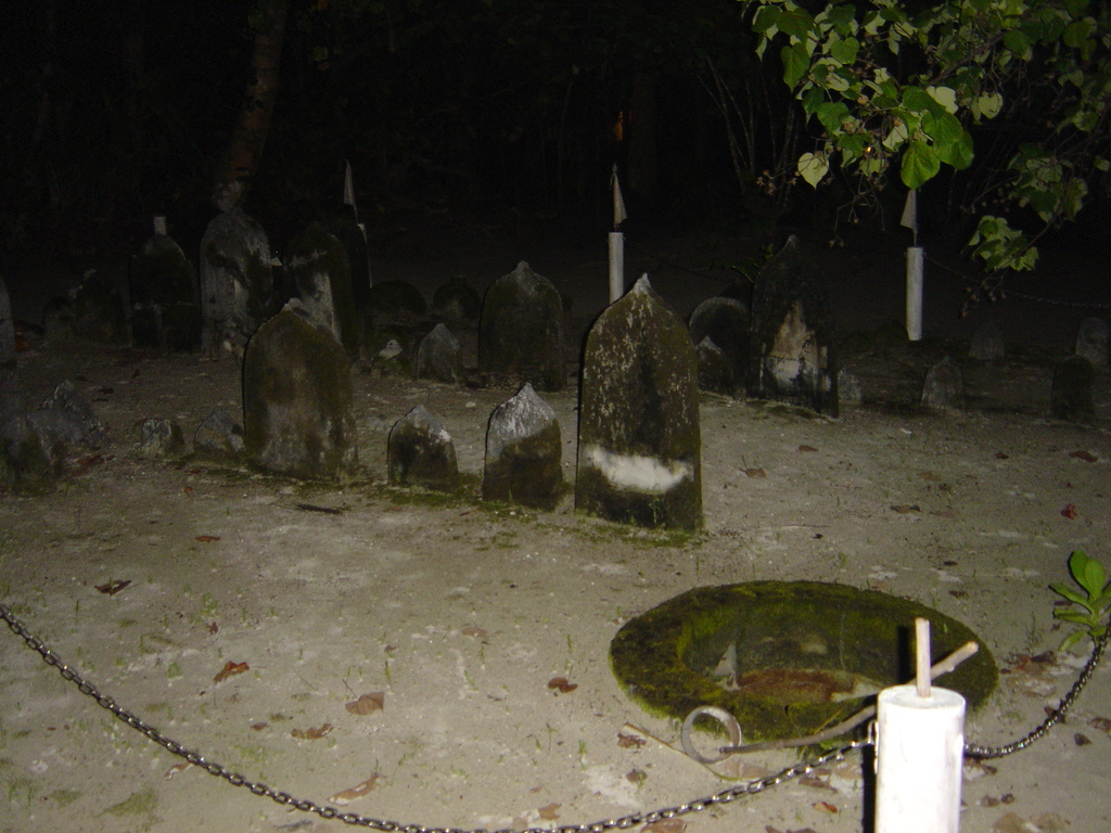 DSC00236.JPG