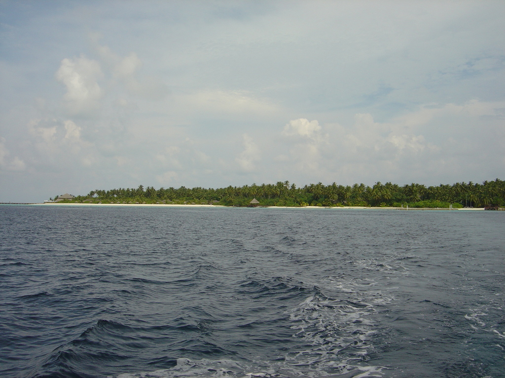DSC00240.JPG