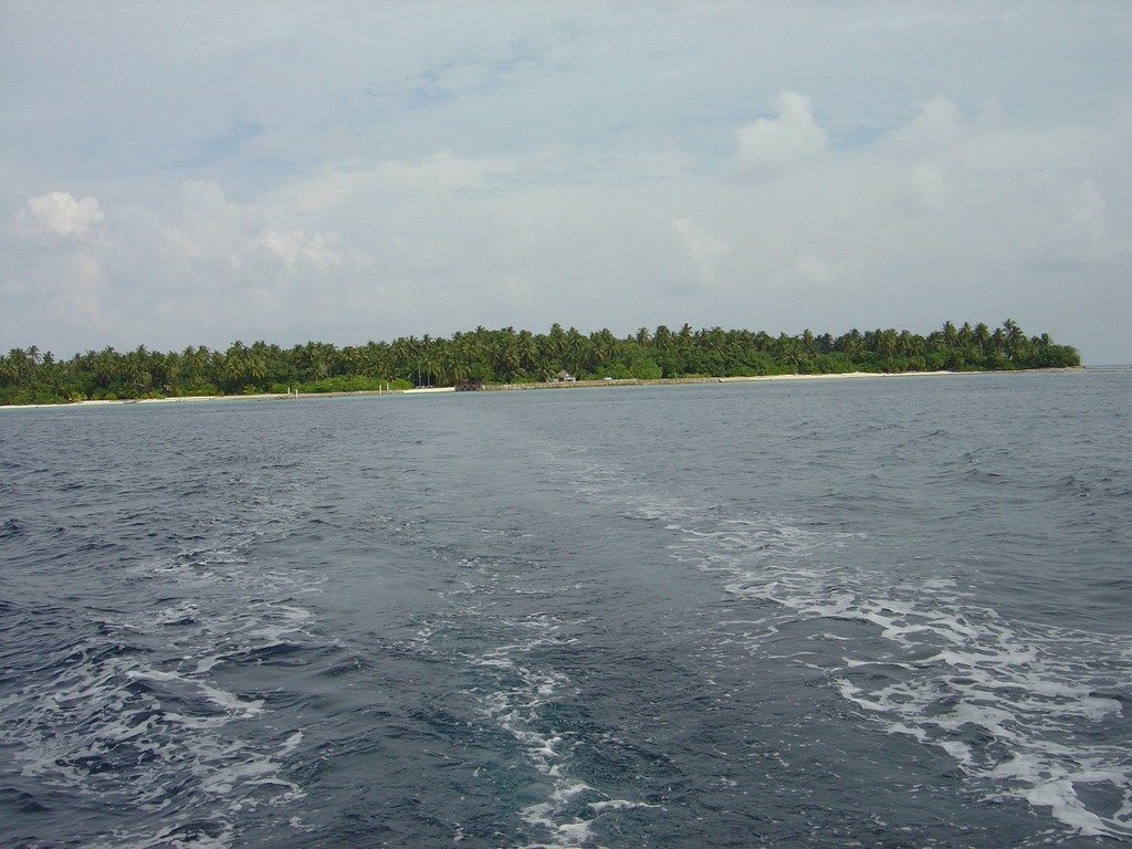 DSC00241.JPG
